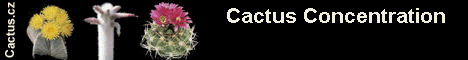 Cactus Banner