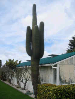 spines
